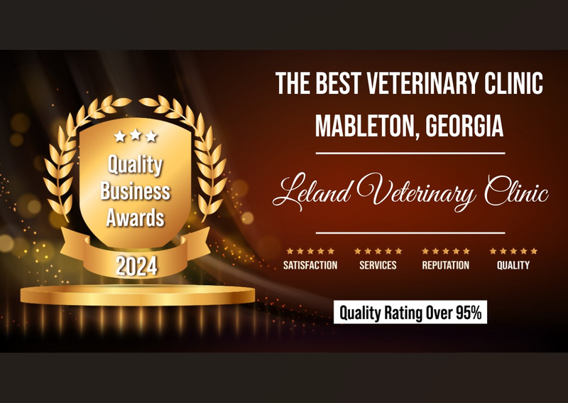 Rated shops veterinary hospitals near me